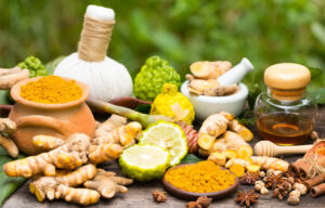 アーユルヴェーダ　アーユルヴェーダ教室　東京　お台場　アシャー・ジャイン　Asha Jain