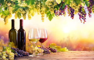 インド料理　ワイン　ペアリング　松田祐也　四谷　ムンバイ