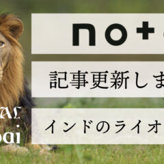 インドのライオンと虎